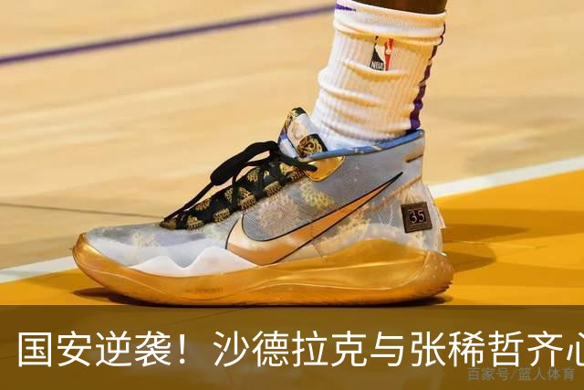 国安逆袭！沙德拉克与张稀哲齐心协力，浦项铁人无力还击