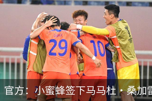 官方：小蜜蜂签下马马杜·桑加雷 据悉转会费4100万镑+创队史纪录