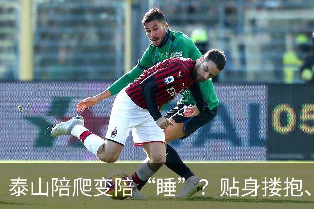 泰山陪爬变陪“睡”？贴身搂抱、明码标价变味，这山爬得太辣眼