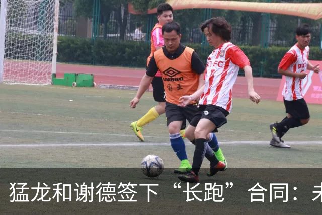 猛龙和谢德签下“长跑”合同：未来七年的篮球之路